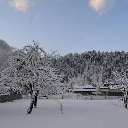 West End Lodges Neelum エクステリア 写真